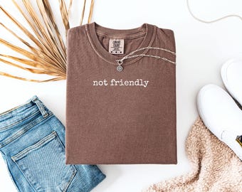 Not Friendly T-Shirt, Funny Introvert Shirt Anti Social Graphic Tee, Comfort Colors Gift for Girlfriend, Sarcastic Anti-People Shirt