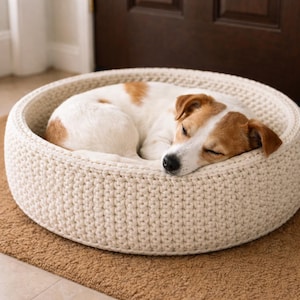 Può includere: Un cane addormentato riposa in una cuccia rotonda all'uncinetto color crema. Il cane ha il pelo bianco con macchie marroni ed è rannicchiato all'interno del letto. Il letto è su un tappeto marrone.