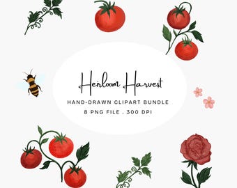 Tomato Garden Clip Art Bundle, Heirloom Harvest Floral PNGs, Botanical Farmhouse Illustrations