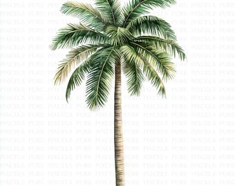 May include: Watercolor illustration of a palm tree. The tree features a tall, light brown trunk and a crown of green fronds. The fronds have a detailed, textured appearance, with varying shades of green and hints of yellow.