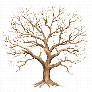 Akvarell vinterklipp med kala träd | 5 högkvalitativa JPG-bilder | Digital nedladdning | Blandteknik | Digitalt konstverk | Clipart | Skräpjournal