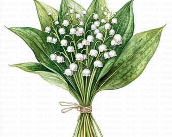 植物のイラスト、花のクリップアート「スズラン」デジタルダウンロード