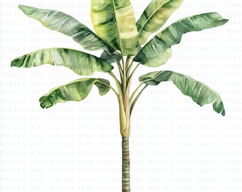 Watercolor Troolie Palm Tree Clipart | 5 JPG's | Digital Download | Botanical Illustration | Wall Decor & Crafts | Instant Digital Download