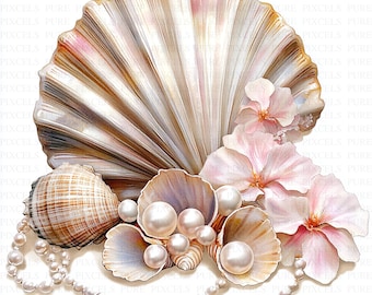 Watercolor Seashells Pearls Clipart | 5 High Quality JPGs | Digital Download | SeaShell Clipart | Printable Watercolor Clipart | Wall Art