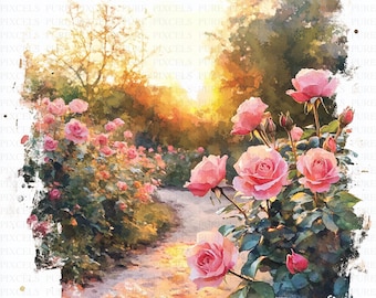 May include: Watercolor painting of a rose garden path bathed in sunlight. Pink roses bloom in abundance along the path, with lush green foliage. The warm light creates a soft, inviting atmosphere, perfect for wall art.