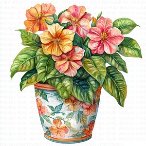 May include: Watercolor illustration of a potted plant with vibrant orange and pink flowers. The flowers are in full bloom, surrounded by large green leaves. The pot is decorated with floral patterns in orange and blue.