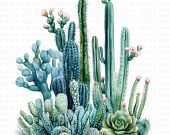Watercolor Cactus Clipart | 5 JPEG's | Digital Download | Succulent & Cacti Art | Tropical Desert Frames | Wall Clipart |  Nursery Art