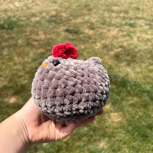 Crochet Chicken Plushie