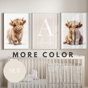 May include: Three framed prints. Two feature watercolour illustrations of Highland cows, one standing and one sitting. The third print has a large white letter "A" and the name "Amelia". The text "MORE COLOR" is displayed. The prints are in a nursery setting.