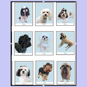 Set of 30 digital posters: Stylish Dog Haircuts– Instant Download