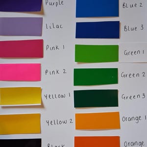 Universelles und von EPIC inspiriertes Lanyard mit Sicherheitsclip und Kartenhalter. Bild 6