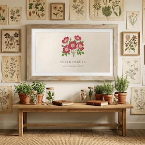 May include: A framed print of the North Dakota Wild Prairie Rose, with a cluster of pink flowers. The print is surrounded by other botanical prints and potted plants on a wooden bench, creating a natural, vintage aesthetic.