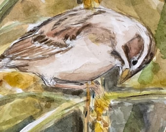 May include: A watercolor painting of a small bird perched on a stalk of yellow flowers. The bird is brown and white with a long tail. The background is a blur of green and brown.