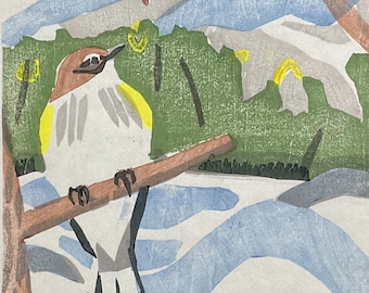 Reinitas de rabadilla amarilla tras la tormenta de nieve de Mokuhanga