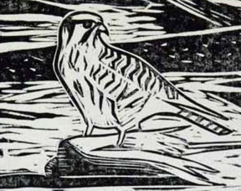 May include: Black and white woodblock print of a bird perched on a rock. The bird has a striped pattern and is facing to the right. The background is a dark, abstract design.