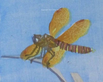 Eastern Amberwings Original Moku Hanga Print