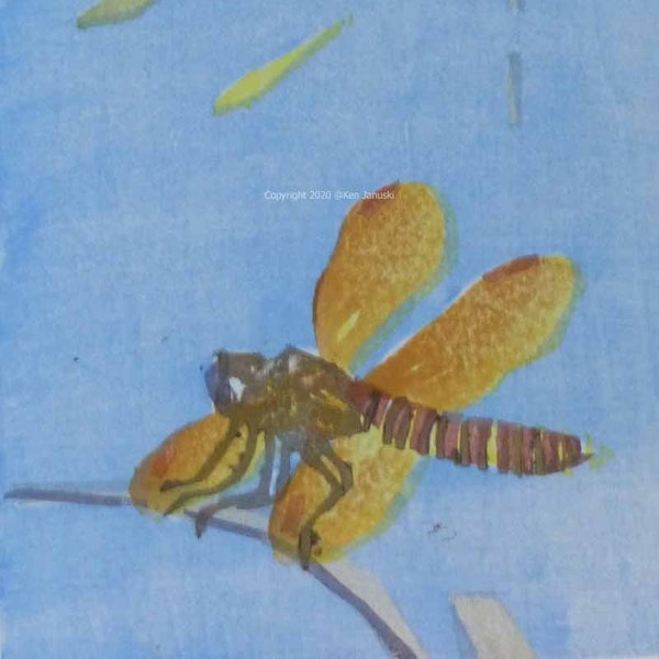 Eastern Amberwings Original Moku Hanga Print