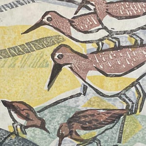 Mokuhanga of Least and Solitary Sandpipers