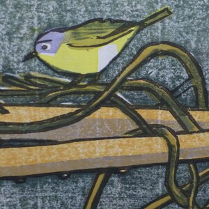 Könnte beinhalten: Ein gelber und blauer Vogel sitzt auf einem braunen Ast mit grünen Ranken. Der Vogel schaut nach links und hat einen langen, dünnen Schnabel. Der Hintergrund ist dunkelgrau.