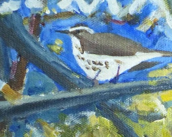Louisiana Waterthrush Along Wissahickon Acrylic Painting