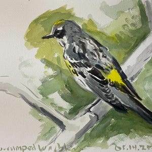 Yellow-rumped Warbler at Morris Arboretum Original Watercolor Painting