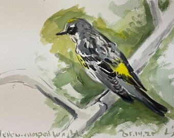 May include: Watercolor painting of a Yellow-rumped Warbler perched on a branch. The bird features gray, black, and yellow plumage, with a yellow patch on its side. The background includes green foliage and a light-colored sky. The text "Yellow-rumped Warbler" is at the bottom.