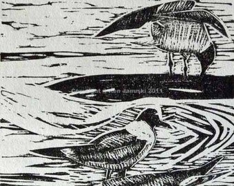 May include: Black and white woodcut print of three birds in a body of water. The birds are in various poses, with one bird standing on the water and the other two swimming. The print is signed "Copyright Ben Damski 2011".
