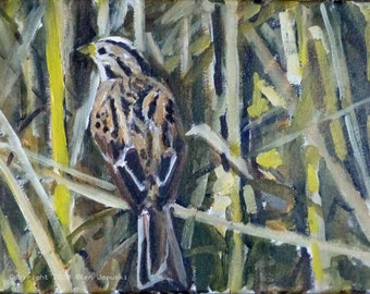 May include: A painting of a brown and white bird with a long tail, perched in a field of tall, yellow and green grasses. The bird is facing to the left, and its head is tilted slightly upwards. The background is a blur of green and yellow.