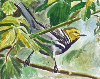 May include: A watercolor painting of a yellow-throated warbler perched on a branch with green leaves. The bird has a yellow throat, black and white stripes on its back, and a long, thin beak.