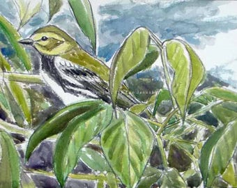 May include: A watercolor painting of a small yellow-throated warbler perched on a branch of green leaves. The bird is facing left and has a yellow throat and a black stripe through its eye. The leaves are a variety of shades of green and are painted in a loose, impressionistic style.