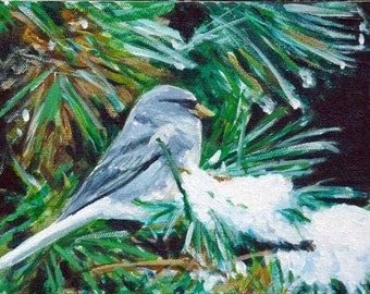 Junco de ojos oscuros sobre pintura acrílica de pino