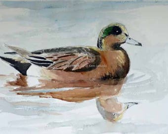 May include: A watercolor painting of a brown duck with a green head and a white beak, swimming in a light blue body of water.