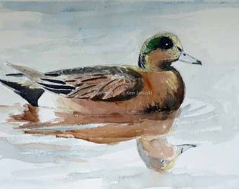 American Wigeon Original Watercolor