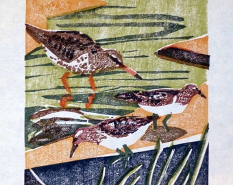 May include: A woodblock print of four brown and white birds standing in a green and brown marsh. The print is signed "219  least.  Spotted  Stilt  Real  figure I  2019  Henry"