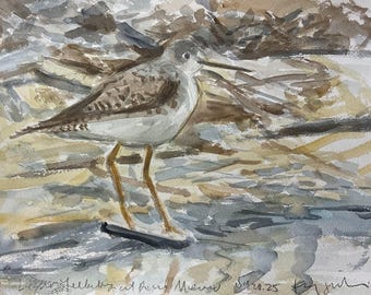 May include: Watercolor painting of a bird, likely a sandpiper, standing in shallow water. The bird has brown and white plumage and long, thin legs. The background depicts a shoreline with muted tones of brown, gray, and beige. The artwork is signed and dated.