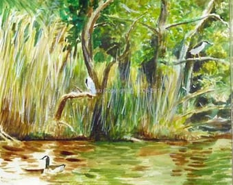 Herons at Heislerville WMA Watercolor Painting