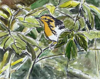 May include: A watercolor painting of a yellow and black bird perched on a branch in a green leafy bush.