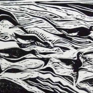 Four Feeding Yellowlegs Linocut