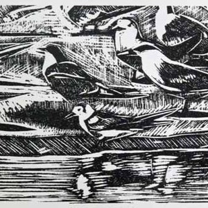 Ten Terns Linocut
