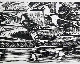 Ten Terns Linocut