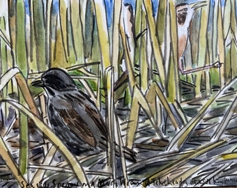 Seaside Sparrow and Marsh Wren at Jake’s Landing Original Watercolor Painting.