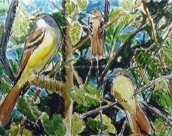 Great Crested Flycatchers Watercolor and Ink Painting