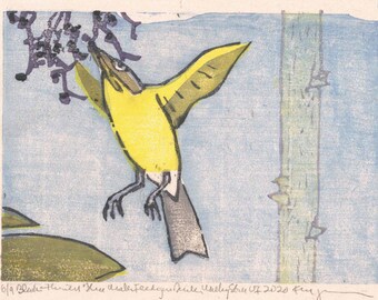 Black-throated Blue Warbler Feeding on Devil's Walking Stick V1 Moku Hanga Print