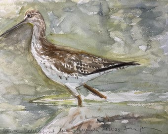 May include: Watercolor painting of a bird, likely a yellowlegs, standing in shallow water. The bird has brown and white speckled feathers, a long beak, and is set against a muted green and gray background. Signed and dated.