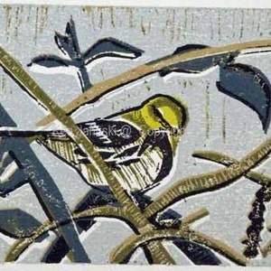 Black-throated Green Warbler Linocut/Woodcut/Reduction Linocut
