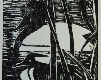 Drake Canvasback y Hooded Merganser Woodcut Versión 2