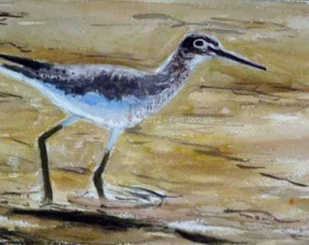 May include: A watercolor painting of a grey and white bird with a long beak standing on a sandy beach. The bird is facing to the right and has its head tilted down. The background is a light brown color.