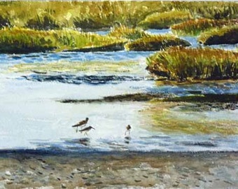 Shorebirds on Nummy Island Watercolor Painting