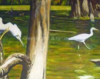 May include: Two white egrets, one perched on a tree branch and the other wading in a shallow pond. The egret on the branch is looking down at the egret in the water. The pond is surrounded by trees and green grass.