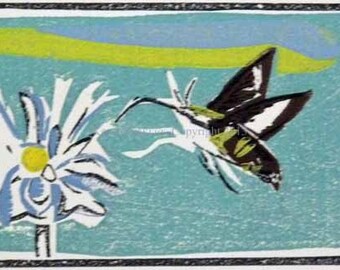 Hummingbird ClearwingMoth at Flower - Linocut and Reduction Woodcut